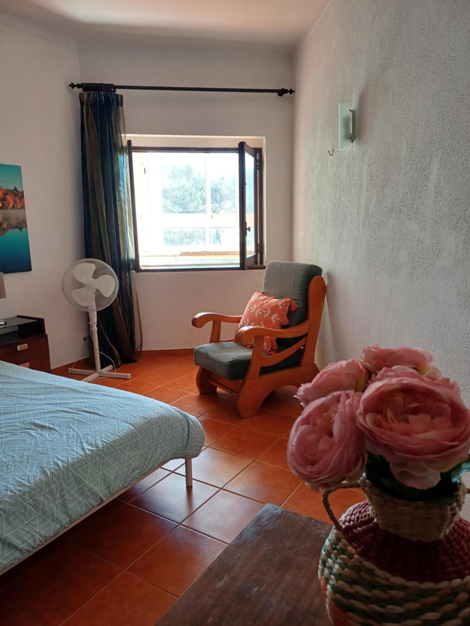 Apartment With Swiming Pool
